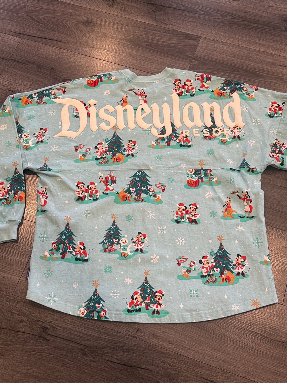 Disneyland Resort Light Blue Holiday Sweatshirt